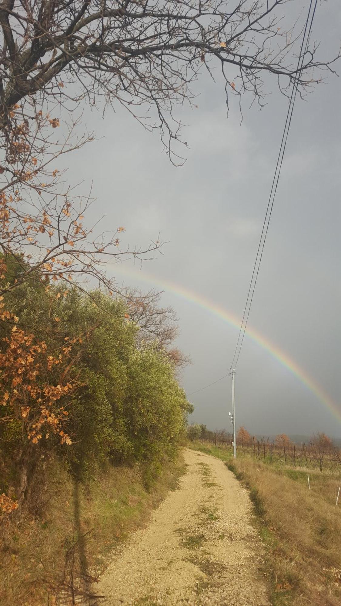 La Pifote Villa Villes-sur-Auzon Bagian luar foto